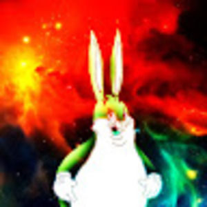 Meet your Posher, Shawna